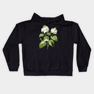 Hydrangeas Botanical illustration Kids Hoodie